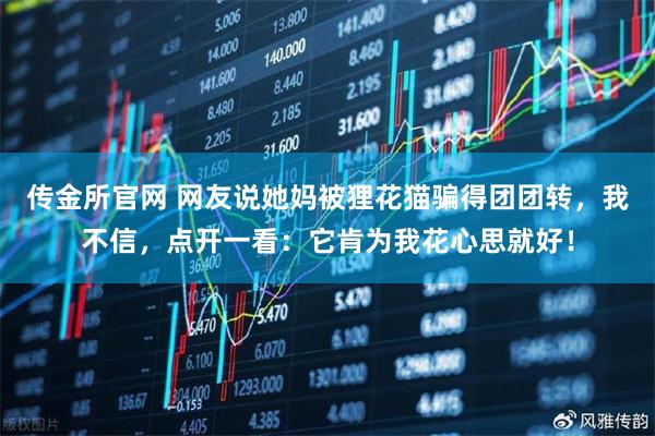 传金所官网 网友说她妈被狸花猫骗得团团转，我不信，点开一看：它肯为我花心思就好！